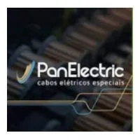 paneletric